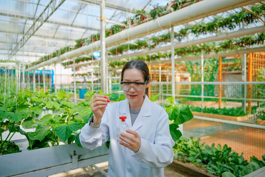 Agricultural Scientist Conducting Experiments in Intelligent Greenhouse
