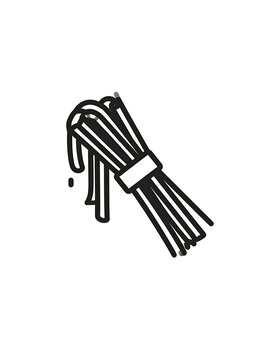 A bundle of long, thin objects tied together