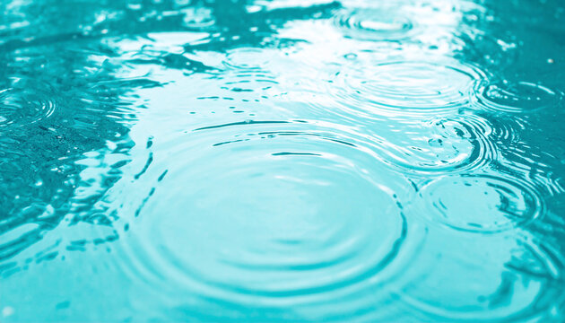 穏やかで落ち着いた雰囲気の水たまり写真画像素材