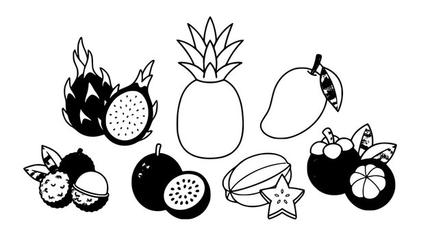 Exotic tropical fruit vector set with pitahaya pineapple mango and mangosteen isolated on white background
