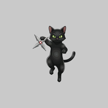 Black cat holding ninja star toy.