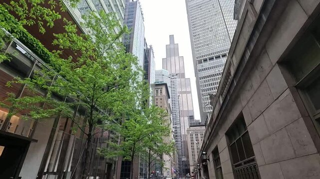 Walking through Yew York city buildings skyline