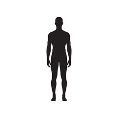 Silhouette of a human male body standing full length front view  © minhajmia