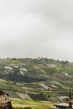 View of the terraced agricultural fields and misty hillsides near Cetho Temple in Kecamatan Jenawi, Central Java, Indonesia.