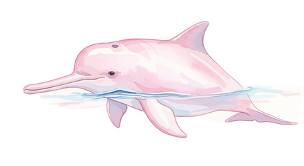 Pink Dolphin Swimming in Water. © Sendang