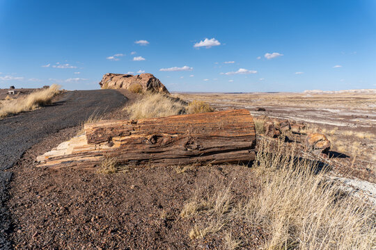 Crystal Forest at Petrified Forest National Park in Arizona. Late Triassic, downed trees were covered by volcanic ash. Silica formed quartz crystals which replaced organic matter petrifying the wood.