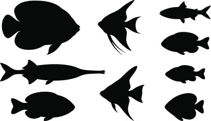 Black fish silhouette collection showing diverse aquatic species with unique fin, body, and tail shapes for vector design © RAFIQUL