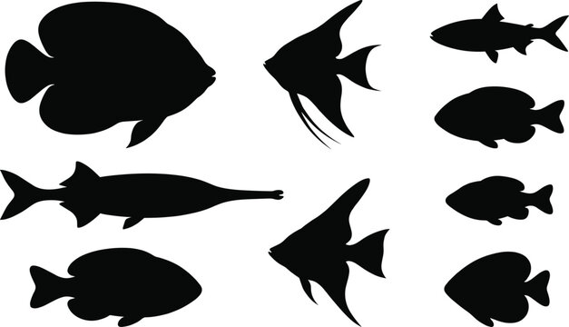 Black fish silhouette collection showing diverse aquatic species with unique fin, body, and tail shapes for vector design