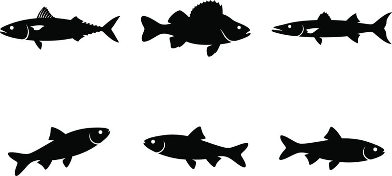 Black fish silhouettes arranged in two rows showing diverse aquatic species with distinct fin and body shapes for vector design