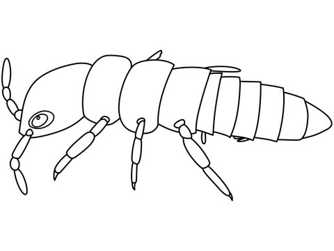 デボン紀のリニエラ(トビムシ)のデフォルメイラスト