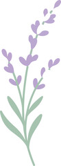 Naklejka premium Lilac flowers isolated on white background floral spring blossom illustration