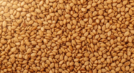 Fototapeta premium Close-up Macro Shot of Toasted Sesame Seeds, Healthy Food Ingredient Background