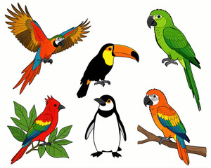 Naklejka premium Collection of Diverse Tropical Birds and Exotic Wildlife Illustrations