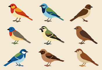 Obraz premium Collection of Stylized Cartoon Birds in Various Poses and Colors
