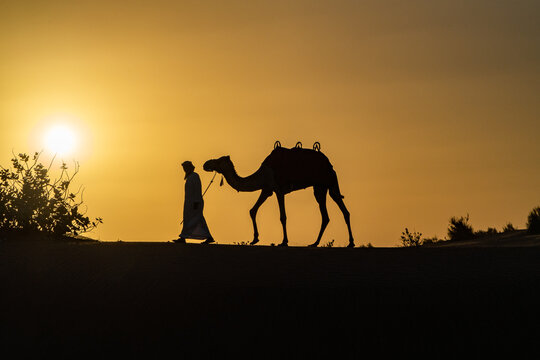 View of a man in traditional attire leading a camel across the desert dunes during a golden sunset in Dubai, Dubai, United Arab Emirates.