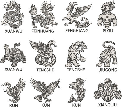 Chinese mythical creatures dragon turtle.