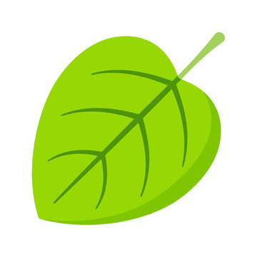 Vibrant rounded green leaf clipart for spring design