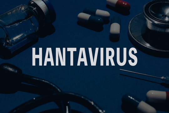 hantavirus　ハンタウイルス