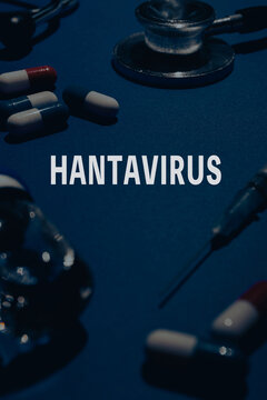 hantavirus　ハンタウイルス