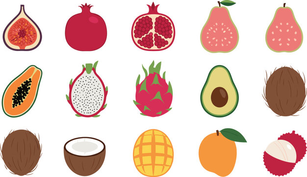 Exotic fruit vector icon collection with fig pomegranate pear papaya dragon fruit avocado coconut mango lychee in flat style