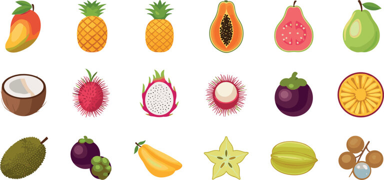 Exotic tropical fruit icon set featuring mango pineapple papaya dragon fruit mangosteen rambutan and coconut in flat style