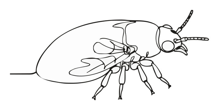 Flea insect macro line art icon. Generative AI