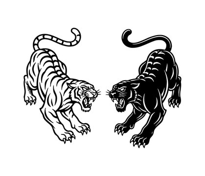 White Tiger and Black Panther Facing Off Roaring Aggressively in Strong Black and White Illustration