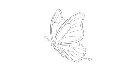 Butterfly flying with open wings. © Klip