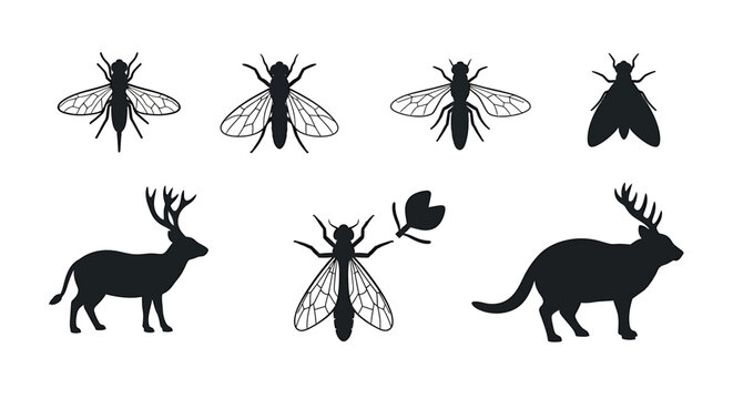 Set of diverse pig icons in black and white, showcasing different poses and expressions of pigs and their heads