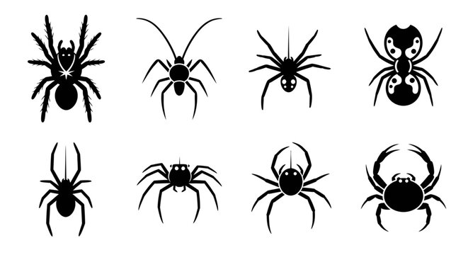 A diverse collection of black spider silhouettes and icons, showcasing various arachnid species for spooky design projects, Halloween decorations, or wildlife themes