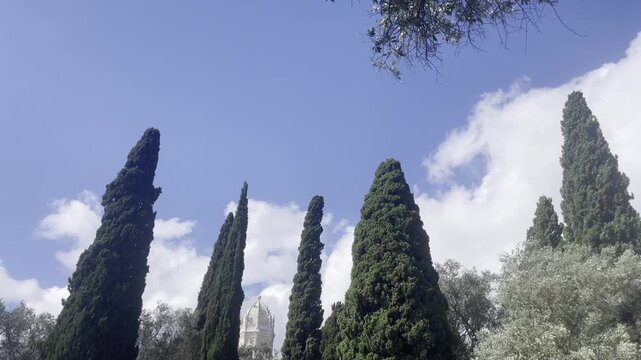 Lisbon Garden Trees and Landscape Portugal in Belem by Jeronimos Monastery