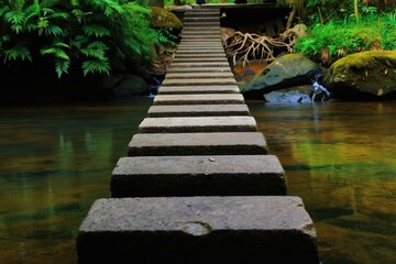 Obraz premium Stone stpic cross a clear river surrounded by green ferns and mossy rocks. A pathway leads through rich forest vegetation. Nature scene with tranquil water reflection. Journey forward.