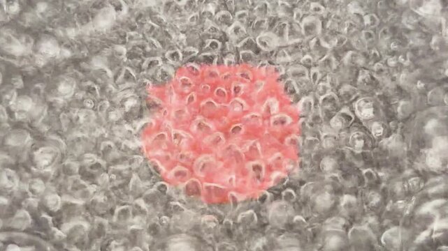 Close Up of Raw Beef Simmering in Boiling Hot Pot Water