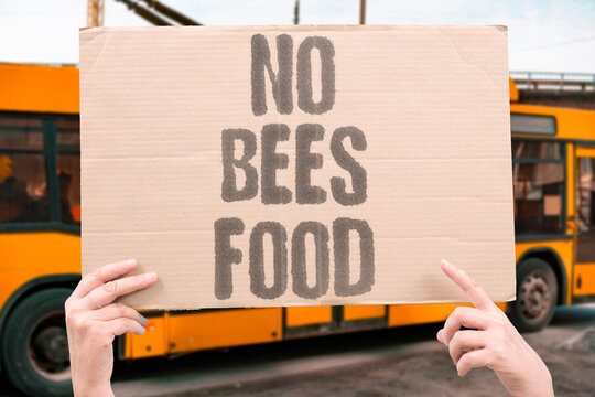 "No Bees Food" Agricultural crop yields depend fundamentally on active pollinator populations. AGRICULTURAL. YIELDS. DEPEND. POLLINATOR. POPULATIONS.