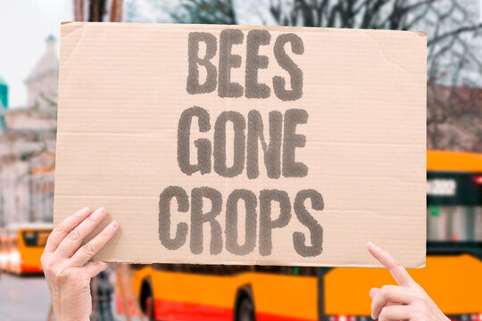 "Bees Gone Crops" Pollinator collapse threatens the viability of global food production. POLLINATOR. COLLAPSE. THREATENS. VIABILITY. PRODUCTION.