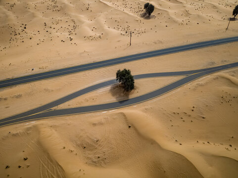 View of an eye-shaped road formation surrounding a lone tree amidst vast sand dunes and desert landscape in Dubai, Dubai, United Arab Emirates.
