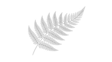 Detailed illustration of a fern leaf. © tri