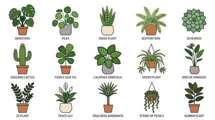 Variety of Potted Houseplants and Succulents. © tri