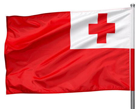 Flag of Tonga Isolated on transparent or white background