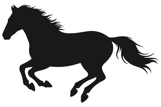 silhouette of a majestic horse galloping