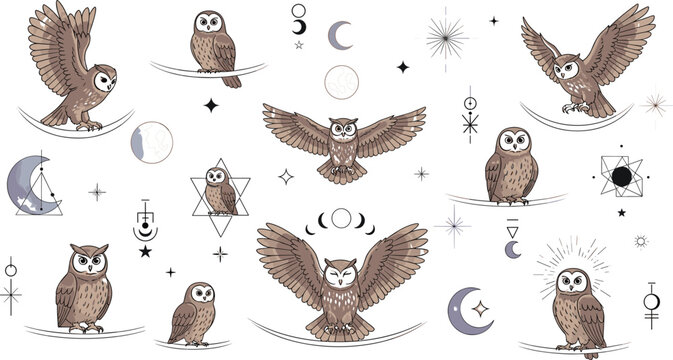 Bohemian mystical owl illustration set with celestial moon phases and stars for spiritual branding and occult graphic design