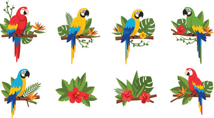 Colorful tropical parrot and macaw character set with exotic jungle flowers and monstera leaves for nature branding and summer marketing © AntarChandra