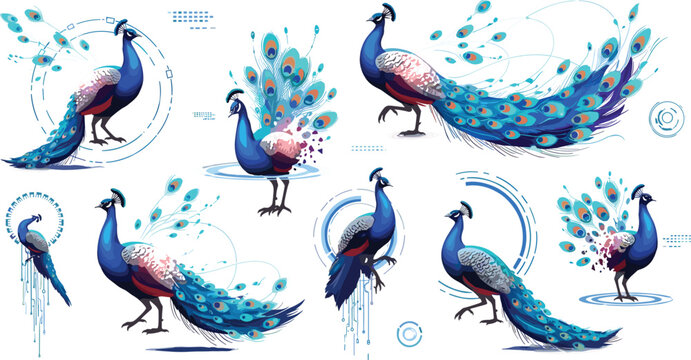 Futuristic digital peacock vector collection with high-tech circuit interface elements and majestic plumage for technology branding concepts