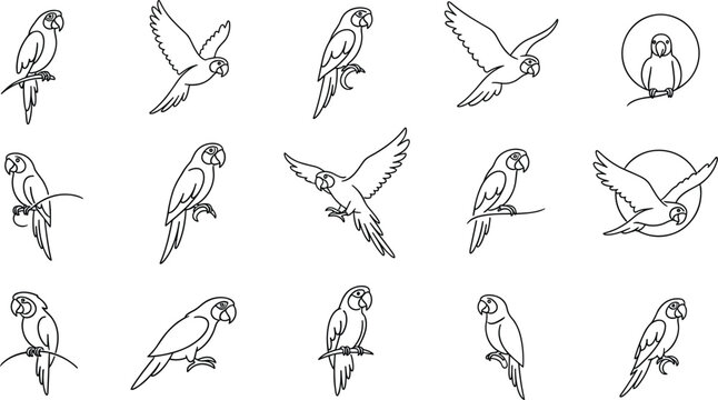 Modern parrot logo collection featuring minimalist geometric line art bird icons in flight and perched for corporate brand identity
