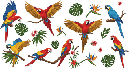 Vibrant tropical macaw parrot illustration set featuring exotic birds in flight and perched with jungle flowers and monstera leaves for nature branding © AdhinChandra