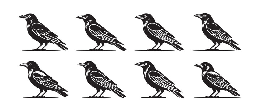 Black crows standing in two rows on a white background.
