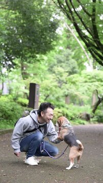 ビーグルを飼う男性、犬と散歩しながら躾をする笑顔ポートレート、動物との暮らしのライフスタイル　躾や訓練のイメージ縦動画