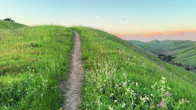Chino Hills State Park drone view