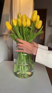 Placing Yellow Tulip Flowers into Clear Glass Vase, Elegant Floral Arrangement and Aesthetic Home Decor Concept