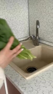 Washing Tulip Flowers and Arranging Them in Clear Glass Vase Filled with Water, Aesthetic Floral Decoration Concept